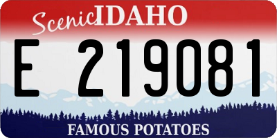 ID license plate E219081