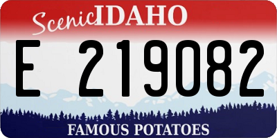 ID license plate E219082