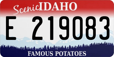 ID license plate E219083