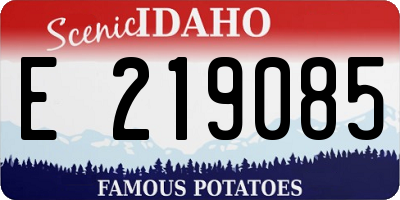 ID license plate E219085
