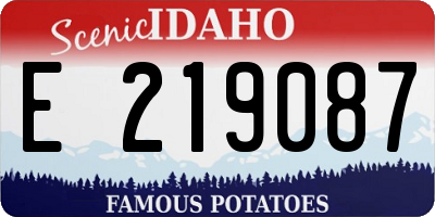 ID license plate E219087