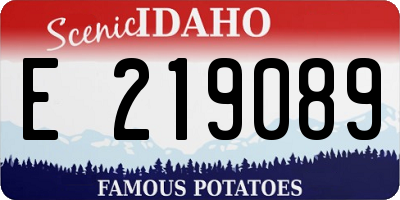 ID license plate E219089