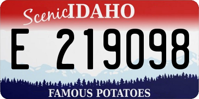 ID license plate E219098