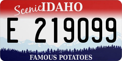 ID license plate E219099