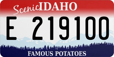 ID license plate E219100
