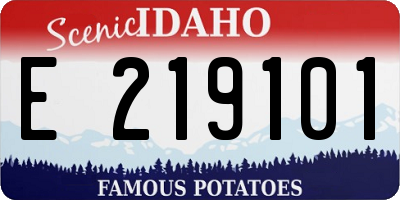 ID license plate E219101