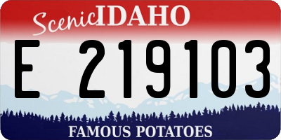 ID license plate E219103