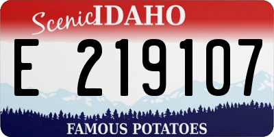 ID license plate E219107