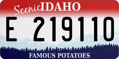 ID license plate E219110