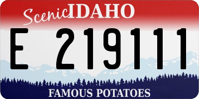 ID license plate E219111
