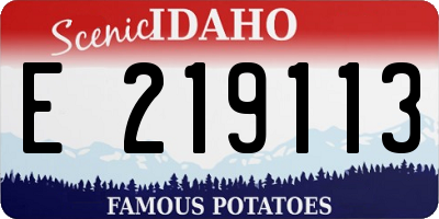 ID license plate E219113