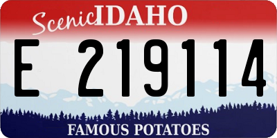 ID license plate E219114