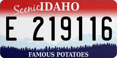 ID license plate E219116