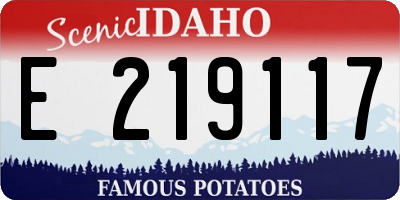 ID license plate E219117