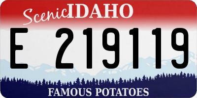 ID license plate E219119