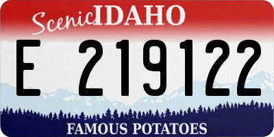 ID license plate E219122