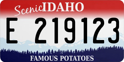ID license plate E219123