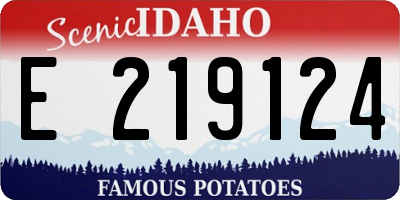 ID license plate E219124