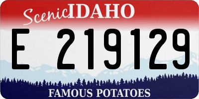 ID license plate E219129