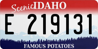 ID license plate E219131