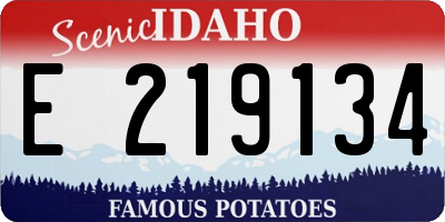 ID license plate E219134