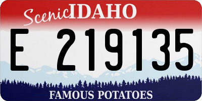 ID license plate E219135
