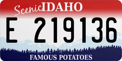ID license plate E219136