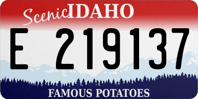 ID license plate E219137