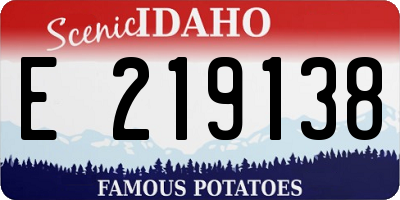 ID license plate E219138