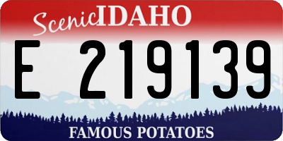 ID license plate E219139