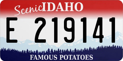 ID license plate E219141