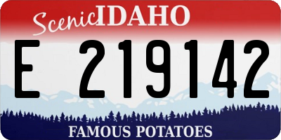 ID license plate E219142