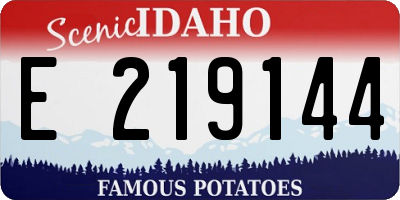 ID license plate E219144