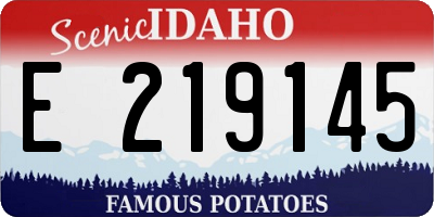 ID license plate E219145