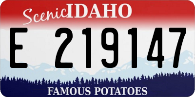 ID license plate E219147
