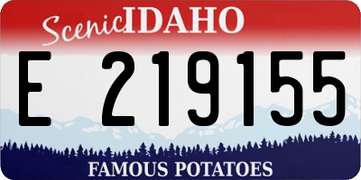 ID license plate E219155