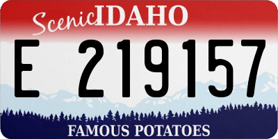 ID license plate E219157