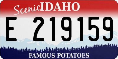 ID license plate E219159