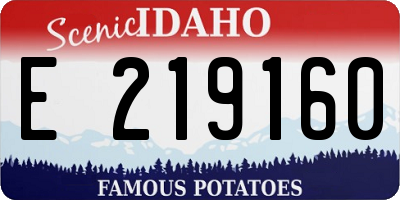 ID license plate E219160