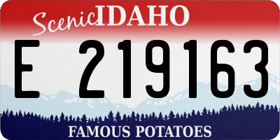 ID license plate E219163
