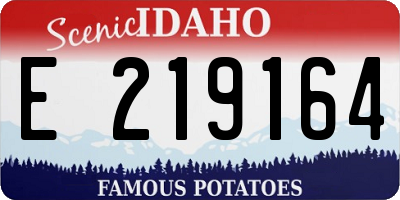 ID license plate E219164