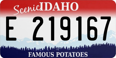 ID license plate E219167