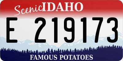 ID license plate E219173