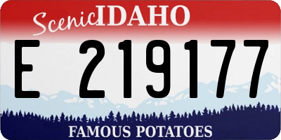 ID license plate E219177