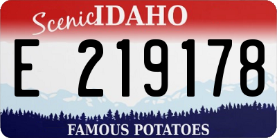 ID license plate E219178