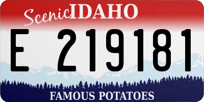 ID license plate E219181