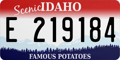ID license plate E219184