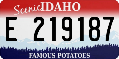 ID license plate E219187
