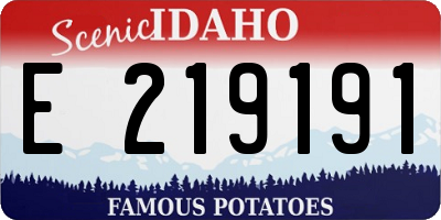ID license plate E219191