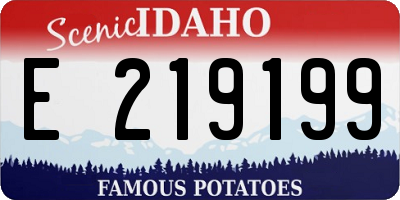 ID license plate E219199